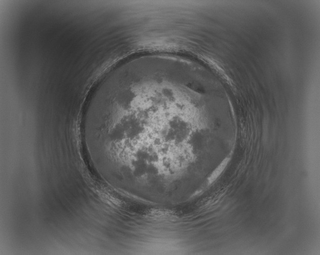 X0000076030487200610061422