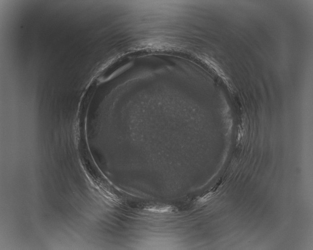 X0000076030488200610061422