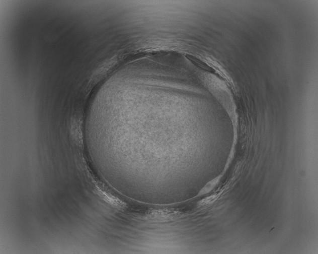 X0000076030489200610061422