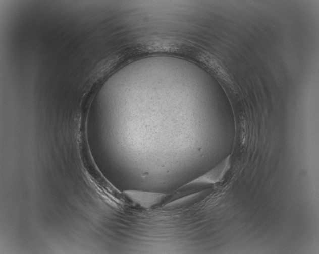 X0000076030490200610061422