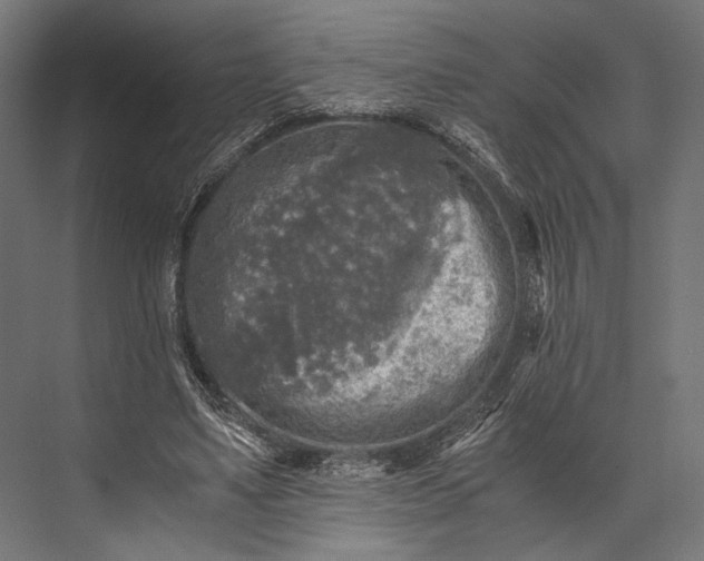 X0000076030491200610061422