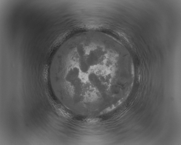 X0000076030495200610061422