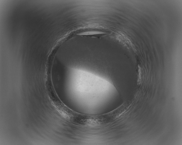 X0000076030496200610061422