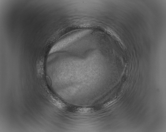 X0000076030497200610061422