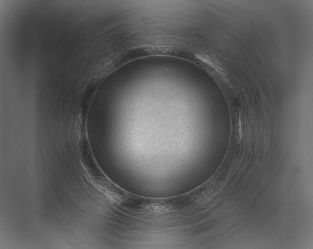 X0000076030498200610061422