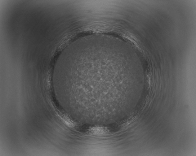 X0000076030499200610061422