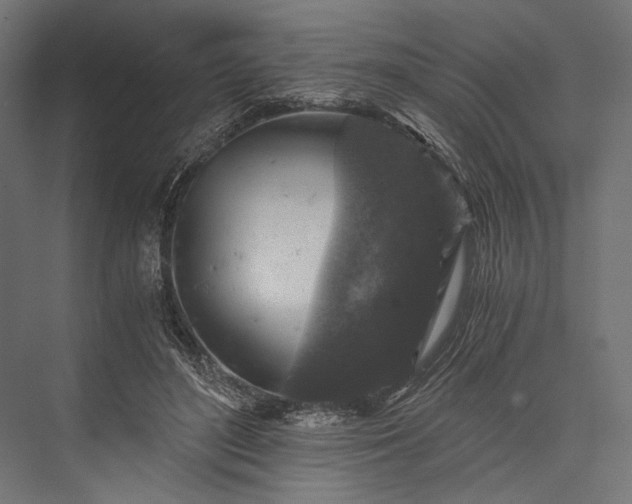 X0000076030500200610061422