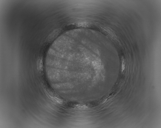 X0000076030502200610061422