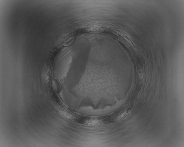 X0000076030503200610061422