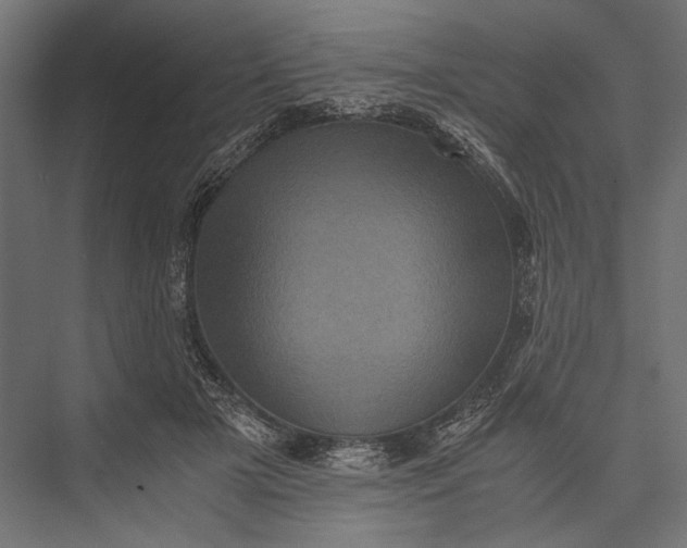 X0000076030505200610061421