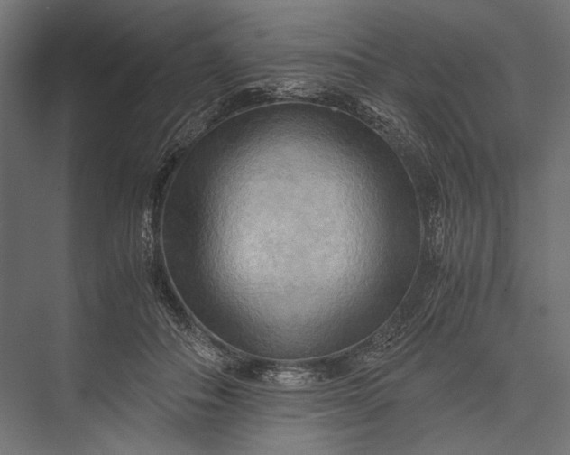 X0000076030506200610061421