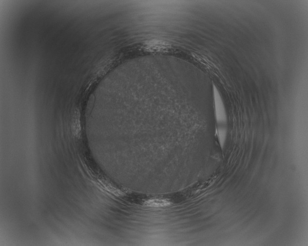 X0000076030508200610061421