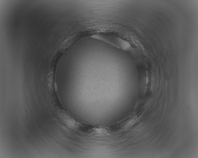 X0000076030509200610061421