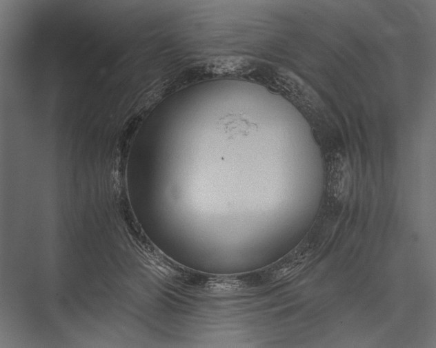 X0000076030510200610061421