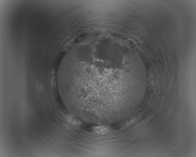 X0000076030511200610061421