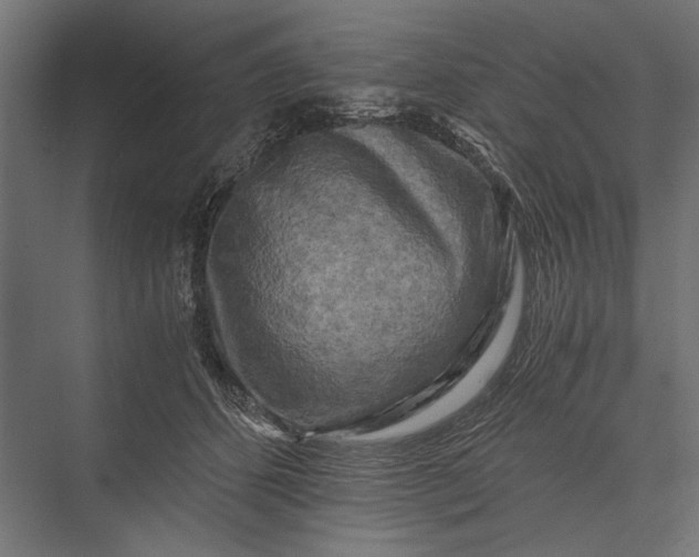 X0000076030512200610061421