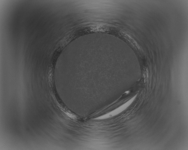 X0000076030513200610061421