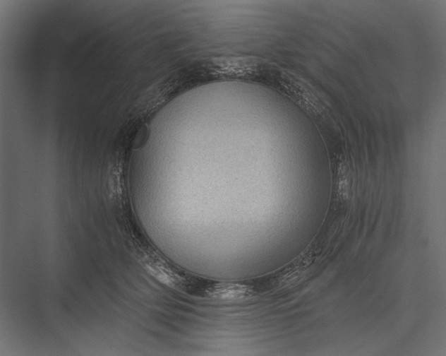 X0000076030514200610061421