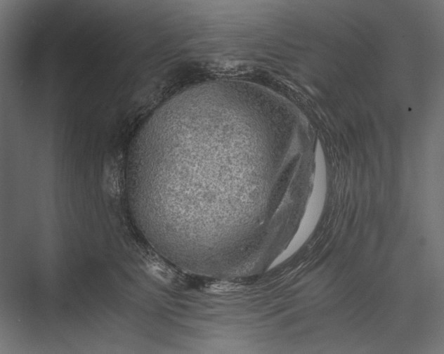 X0000076030515200610061421