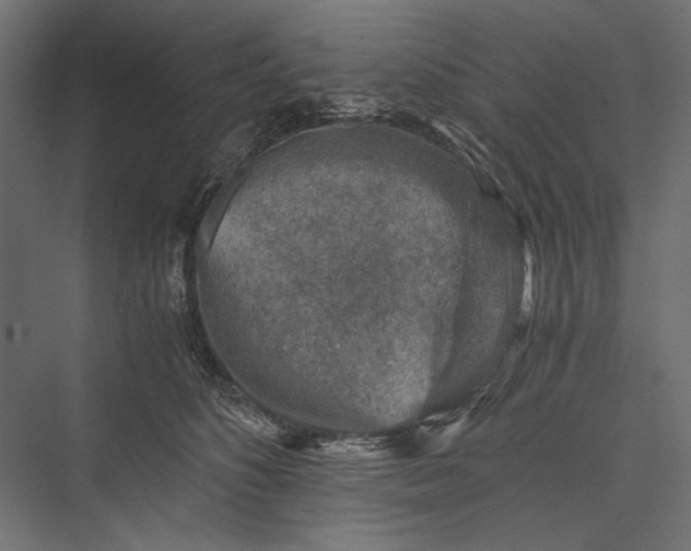 X0000076030516200610061421