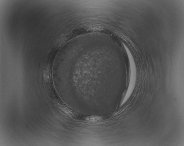 X0000076030517200610061421