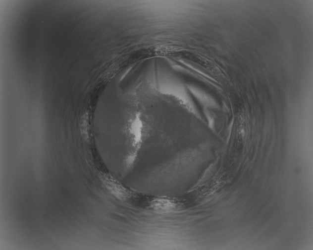 X0000076030519200610061421