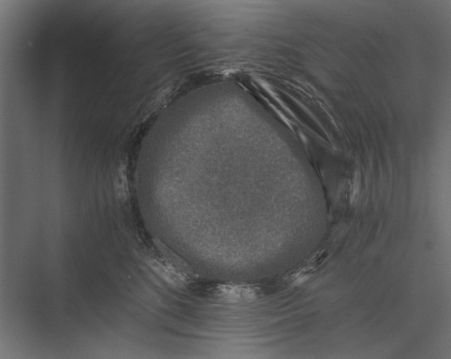 X0000076030520200610061421