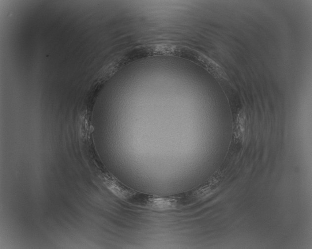 X0000076030522200610061421