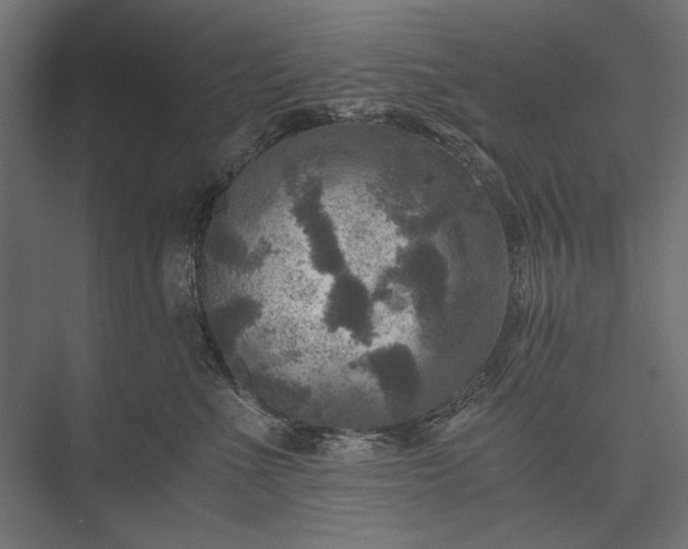 X0000076030523200610061421