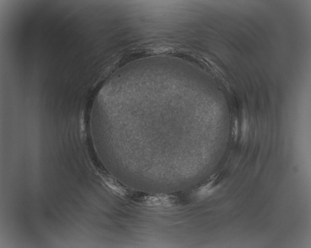 X0000076030524200610061421