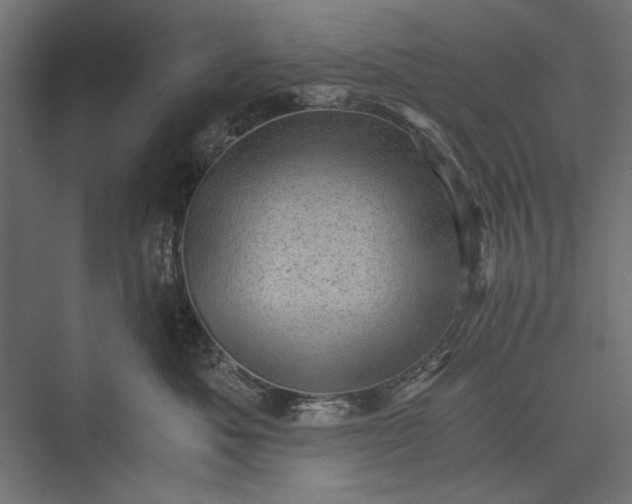 X0000076030525200610061421