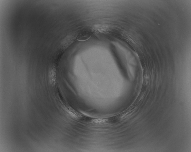 X0000076030526200610061421