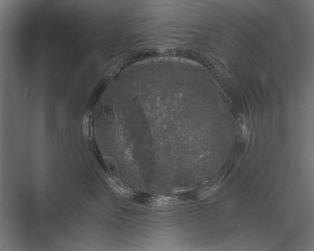 X0000076030527200610061421