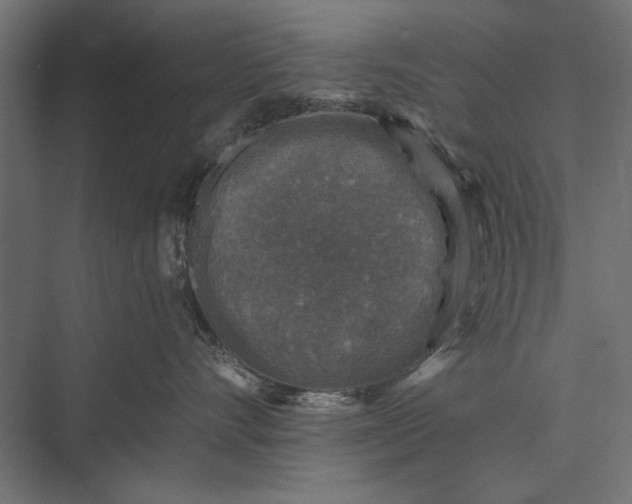 X0000076030528200610061421