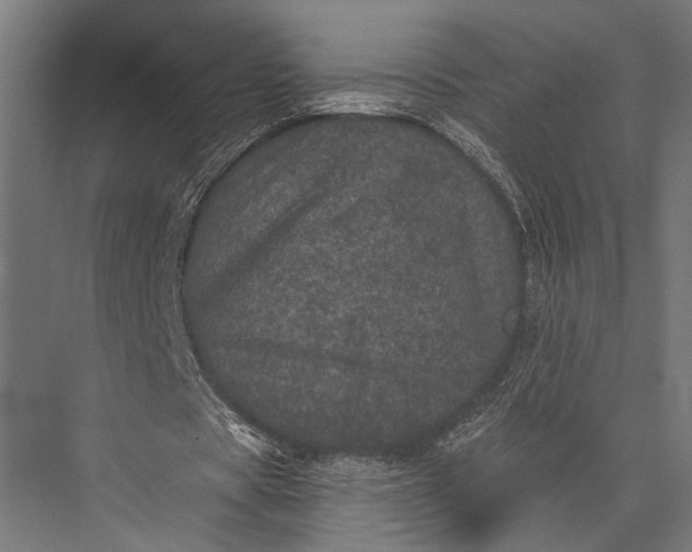 X0000076030529200610061420