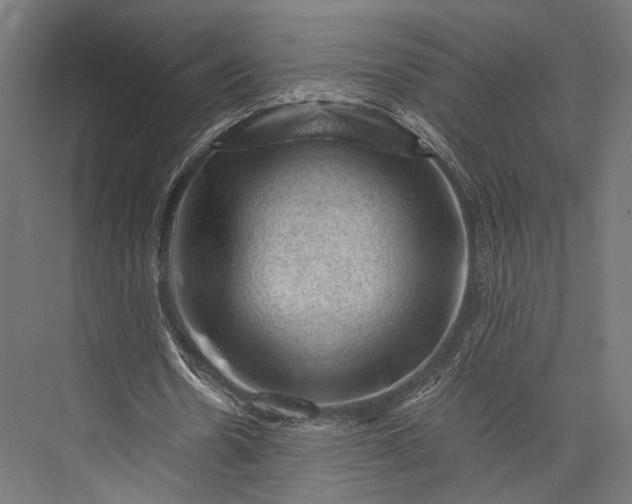 X0000076030530200610061420