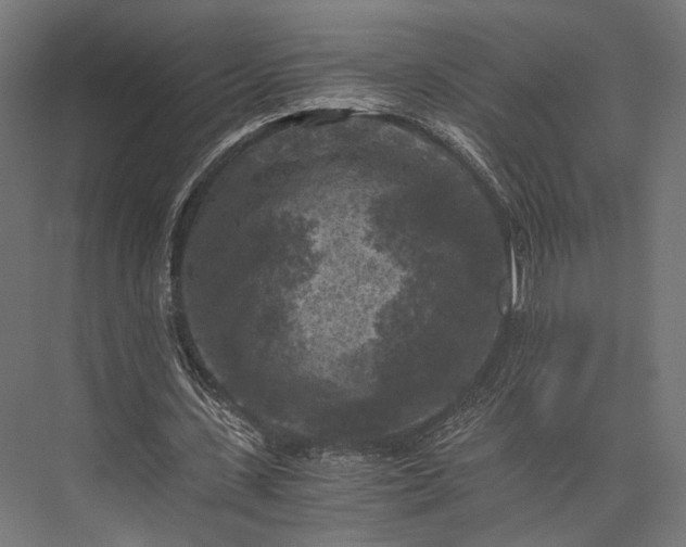 X0000076030531200610061420