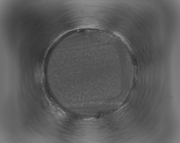 X0000076030532200610061420