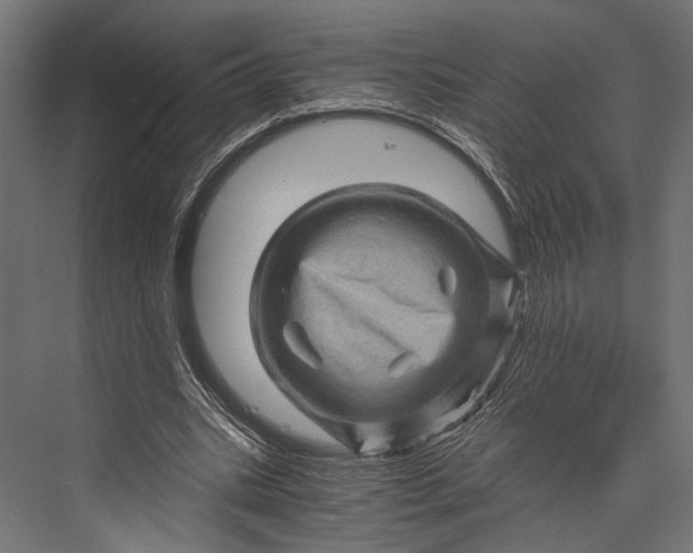 X0000076030535200610061420