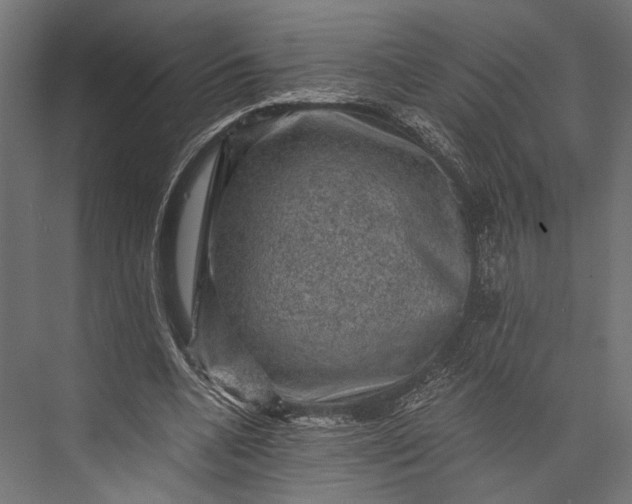 X0000076030536200610061420