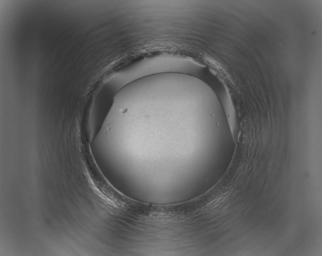 X0000076030538200610061420