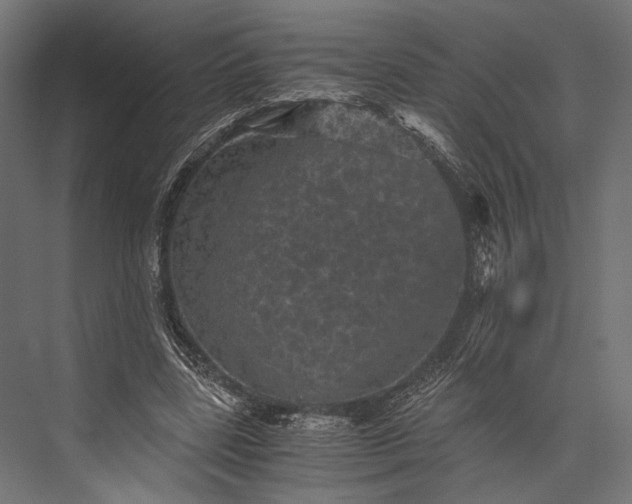 X0000076030539200610061420