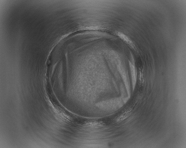 X0000076030540200610061420