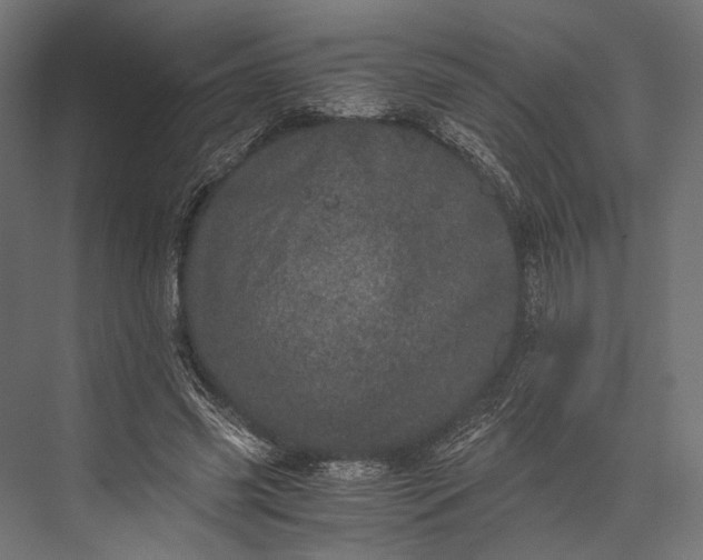 X0000076030541200610061421