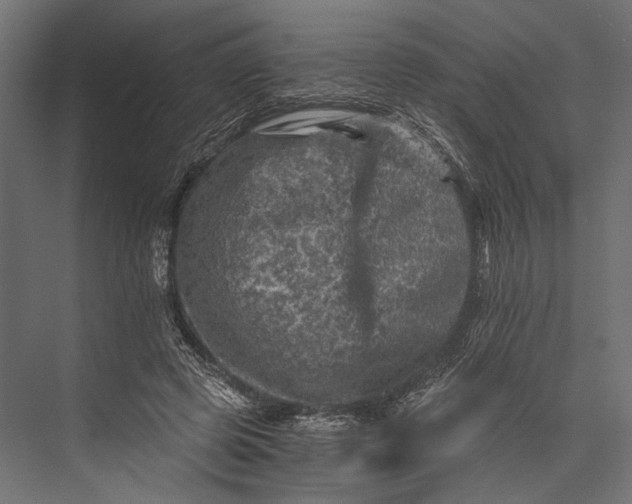 X0000076030545200610061421