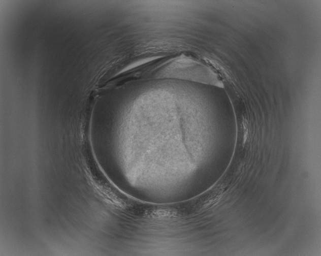 X0000076030546200610061421