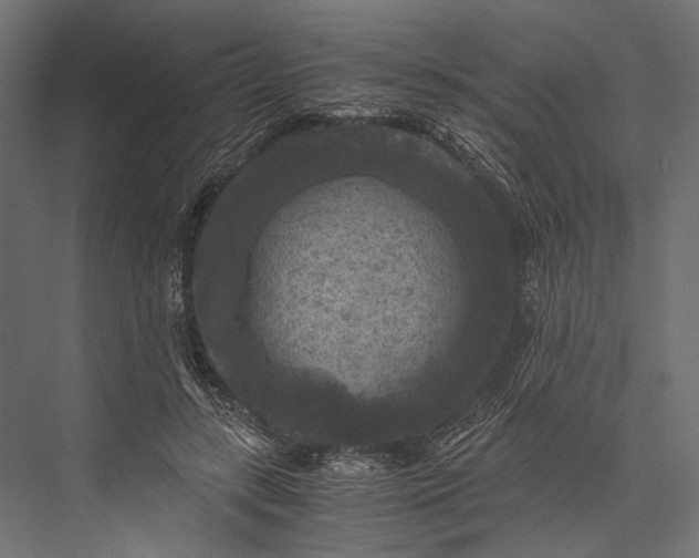 X0000076030547200610061421