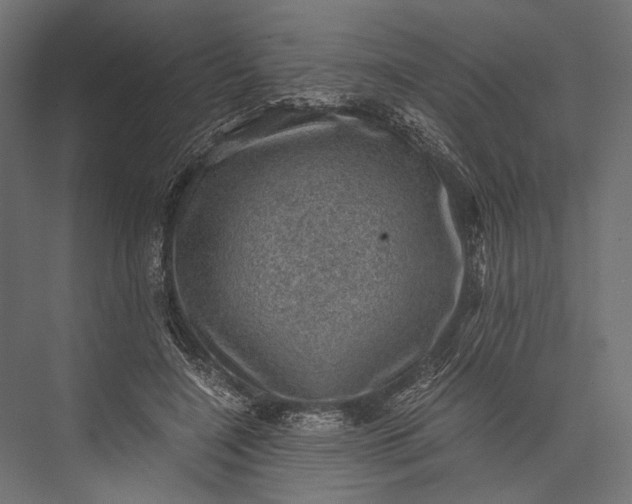 X0000076030548200610061421