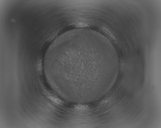 X0000076030549200610061421