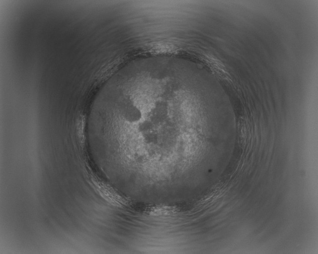 X0000076030550200610061421